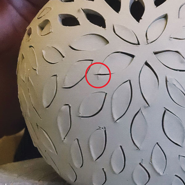 14 Compress seed cracks (circled in red) to prevent cracks from spreading.