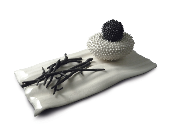 3 Beth Lindenberger’s Seedscape: Black and White, porcelain, underglaze, glaze.