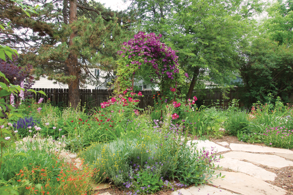 4 Shana Salaff’s garden with xeriscape plants.