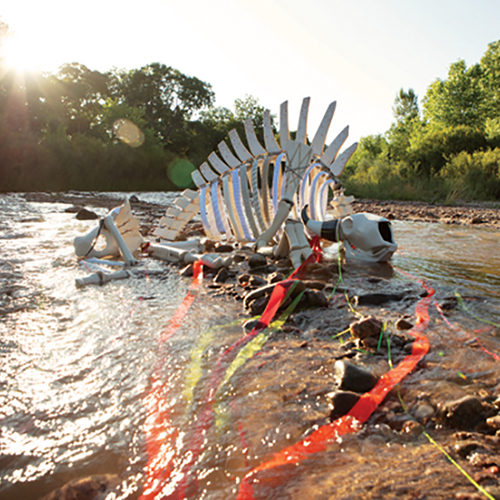 Hansa シマウマ Portraits of Nature art 26009 Hansa シマウマ Portraits of Nature art 26009