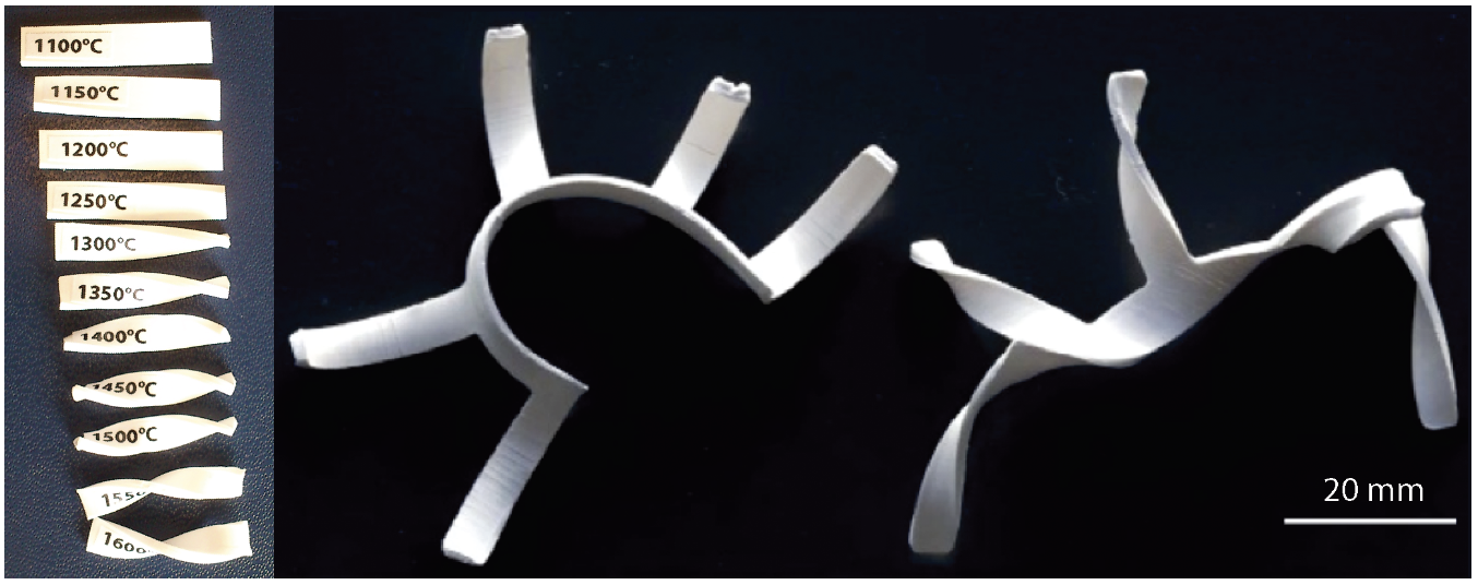 3 The ceramic strip with edamame-like internal organization demonstrates twisting at increasing firing temperature from 1100°C to 1600°C (left). Right, self-shaped ceramics after firing at 2912°F (1600°C) with bending or twisting branches.