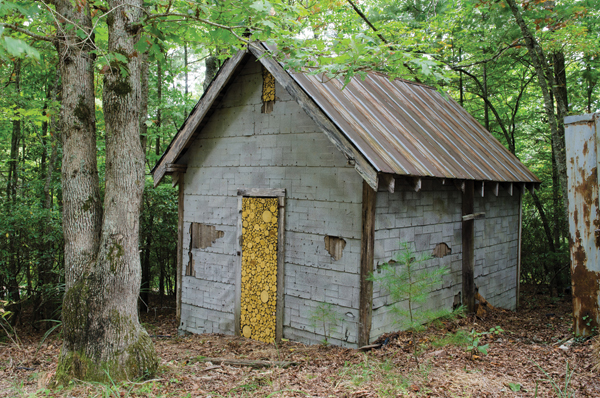 Meredith Brickell’s Shed, Penland School of Crafts, cut saplings, milk paint, shed, 2014.