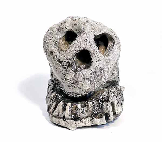 2 Carl Trunk’s Skull, 6½ in. (17 cm) in height, handbuilt ceramic, raku pit-fire glaze, 2022. Photo: Keith Moggach.