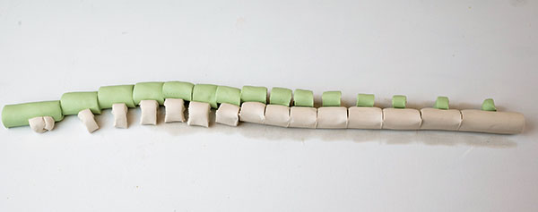 3 Pair the longest segment of the colored clay with the shortest segment of the white porcelain. Continue matching the segments in reverse order.