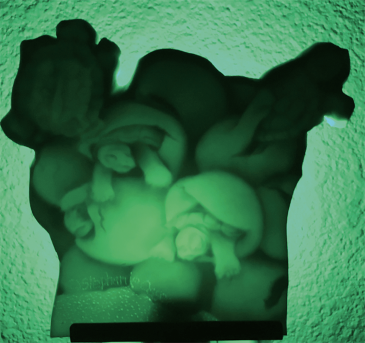 5 Using a green nightlight for fun, the image’s optical illusion pops forward visually when backlit.