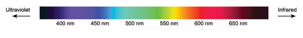 1 The color spectrum of visible light showing the wavelength in nanometers). A shorter wavelength means higher energy.