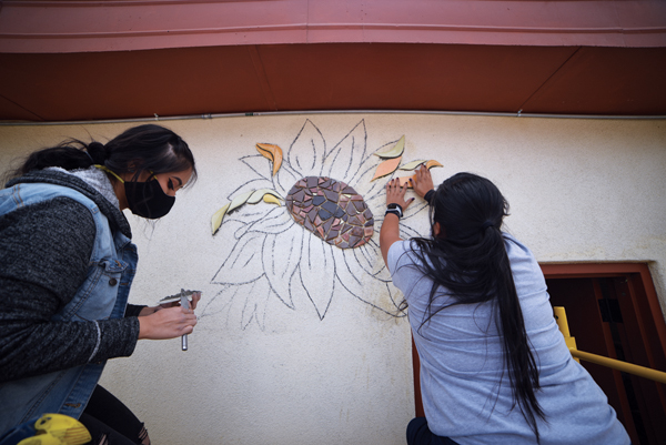 9 Installation of Sunflowers Across Burque, 2020. Photo: Keith Scott.