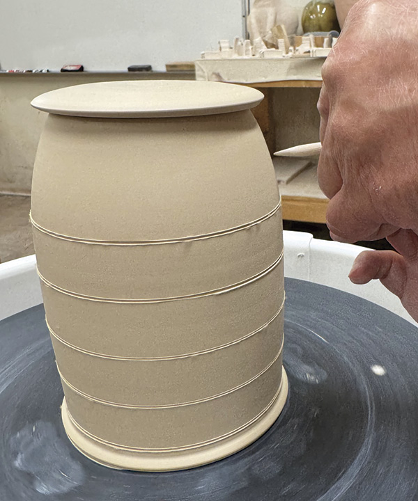 11 Add horizontal lines to the body’s surface.