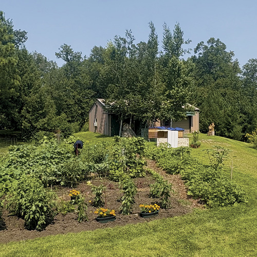 Studio Visit: Pomme de Terre Pottery article thumbnail