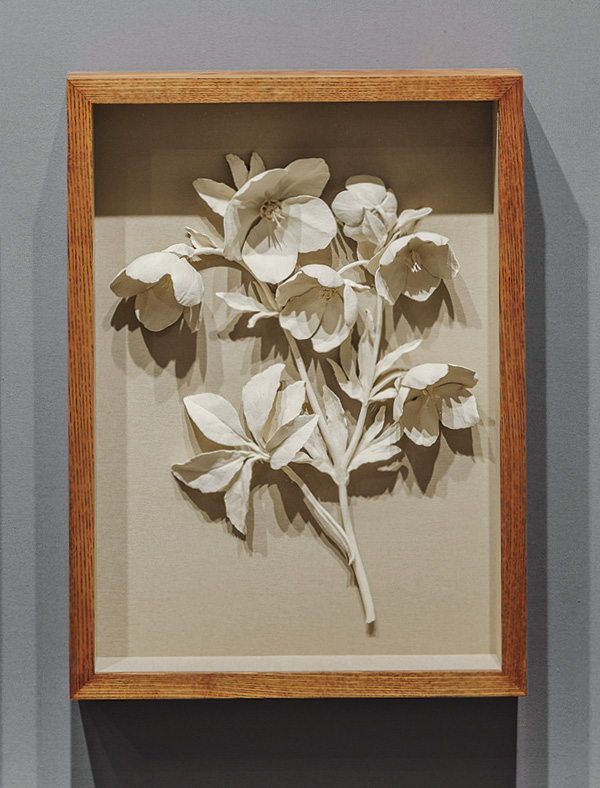 1 Spring Flower Specimen Series (detail), stoneware in linen-backed oak frame, 2022.