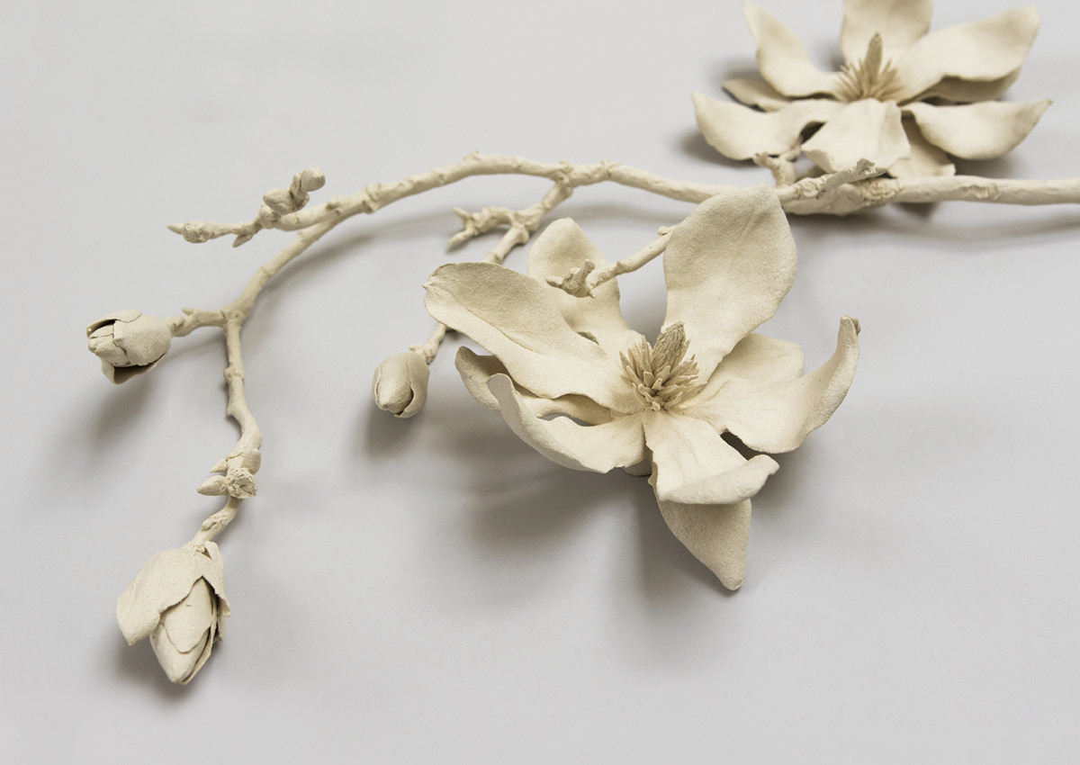 🎧 Kaori Tatebayashi's Observation of Nature