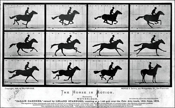 5 Eadweard Muybridge’s The Horse in Motion, 1878. Public domain image from the Library of Congress Prints and Photographs Division. https://commons.wikimedia.org/wiki/File:The_Horse_in_Motion_high_res.jpg.