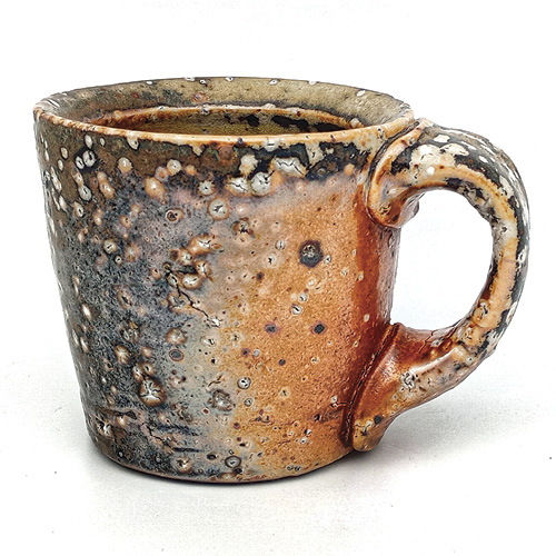 Techno File: Shigaraki Ware by Sukie Weiner and Ryan Coppage, PhD article thumbnail