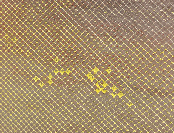 8 Kate Roberts’ Study on Atmosphere-Memphis (detail), 72 in. (1.83 m) in length, powdered red clay, powdered porcelain, Mason stains, tulle, 2022.