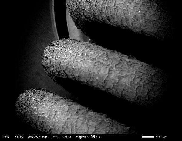 1 SEM imaging of an oxidized (heavily used) Kanthal APM heating element. Pictured are 3 coils within the longer heating element structure at 17x magnification.