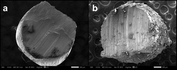 Techno File How Elements Die