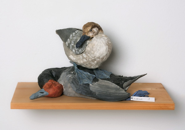 1 Lost History of Women–Redhead Duck, 16 in. (40.6 cm) in width, ceramic, slip, underglaze, fired in oxidation to cone 6, steel rod, steel wire, sculptable epoxy, acrylic paint, cedar, thread, paper, graphite, 2023.