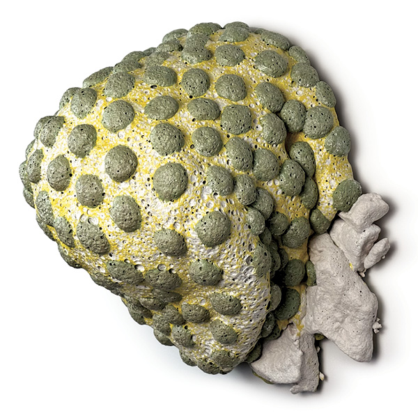 Kate Sutter’s Poof Study no. 14, 17 in. (43.2 cm) in length, ceramic foam, coil-built base with ceramic-foam dots, low-fired in a gas kiln, 2025.