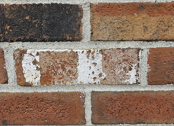 3 Low-fire, high-iron-content red brick revealing white soluble salt blooming. This effect is most noticeable after a rain as water draws soluble to the brick surface.