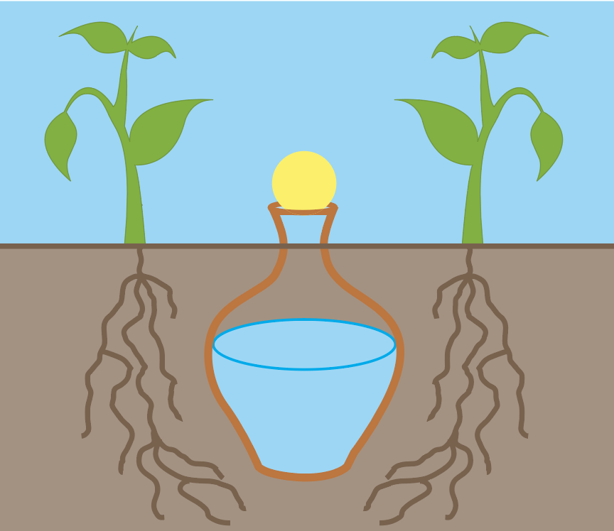 Clay Olla irrigation pot