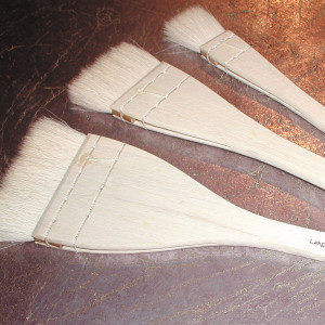 Basically Brushes by Betsy H. Edwards