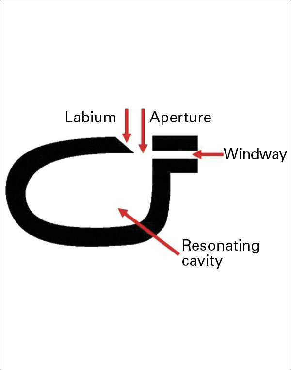 1 Anatomy of an ocarina. Note the labium, aperture, windway, and resonating cavity.