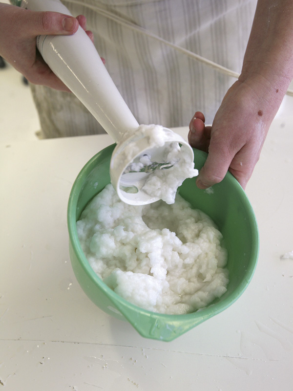 3 Mix toilet paper into a pulp using an immersion blender.