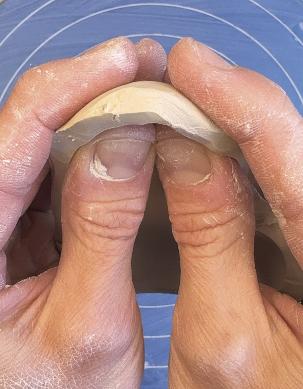 2 Pinch a curve into the edges to start to create puffy shapes.