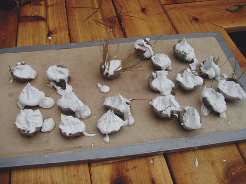 After making a selection of pinch pots and embedding them with various found treasures (as shown at top of page), plaster is dolloped into the pots (as shown at left). Then, they are left to stiffen up.