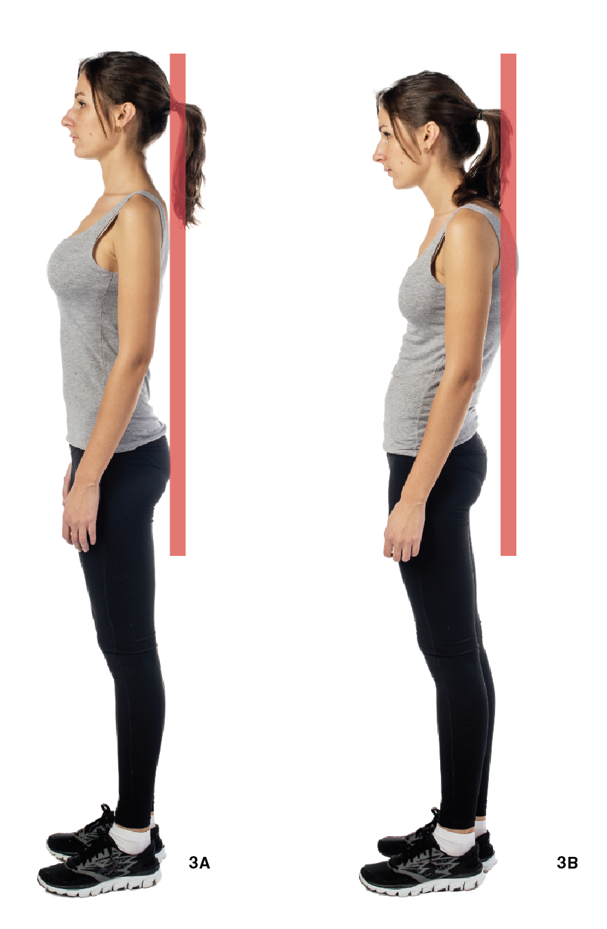 3A When standing in a neutral spine position, a pole held along the spine will touch in three places: at the back of the head, along the rib cage, and at the tail bone. 3B Standing in a slumped position, with head forward takes the spine out of neutral alignment and causes the upper back muscles to work twice as hard.