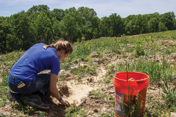  3 Combs examining and collecting clay materials from previously strip-mined land.