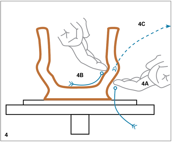 4 Create a bell shape (inverted funnel form). Two or more pulls may be needed to draw the clay out to its intended rim diameter. The dashed line represents the trajectory of the clay.