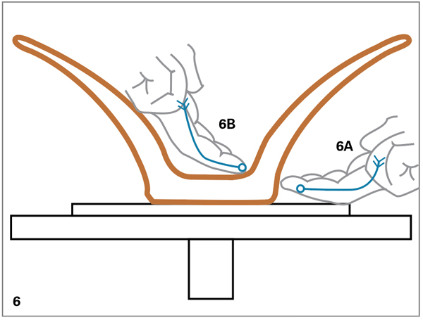 6 Place your right-hand fingertips outside the bowl against the clay near the wheel head (6A) and your left-hand fingers inside at the base of the bell (6B).