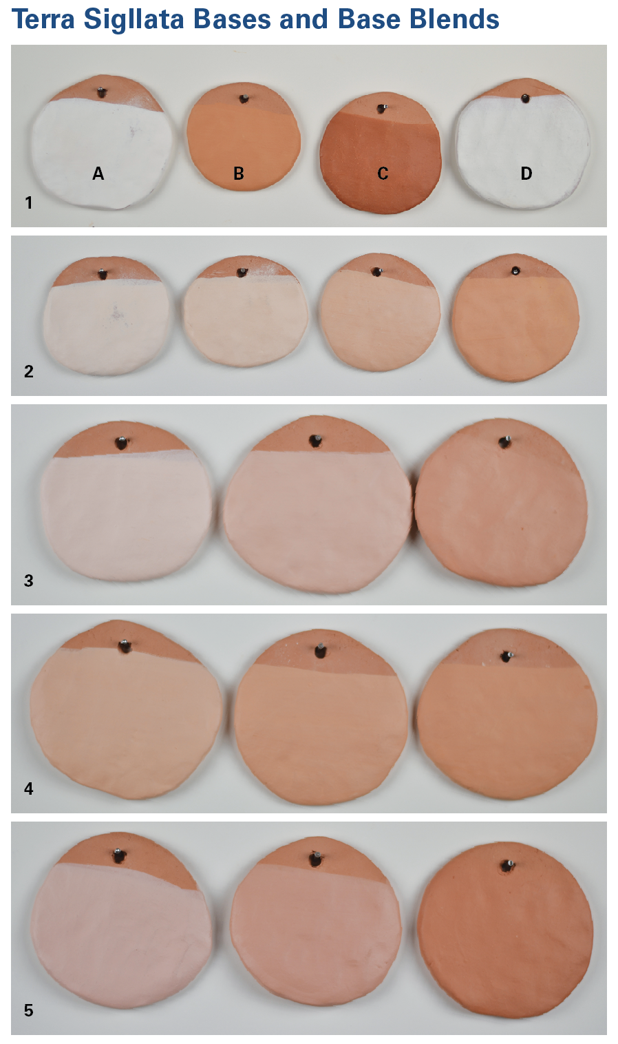 1 Base terra sigillata tiles (from left to right): (A) Grolleg porce- lain, (B) Newman Red clay, (C) Cedar Heights Redart clay, (D) OM 4 ball clay*. 