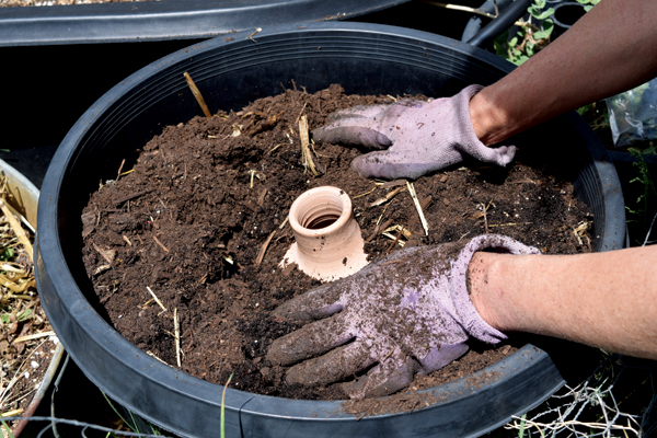 7 To use an olla in a container, bury it up to the neck in potting soil right in the center of the container.