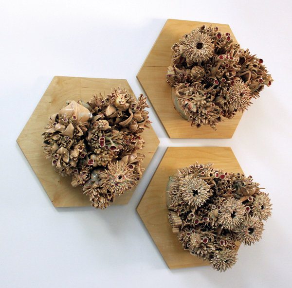 6 (Three Hives) HIVE: Grow Over Pattern, porcelain, glazes, fired to cone 6 in a gas kiln, wood panel, 2016.