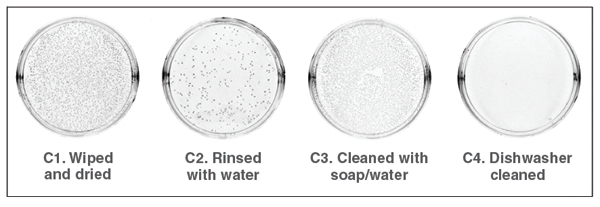 3 Bacterial survival results of increasingly stringent washes on a crazed glaze surface.