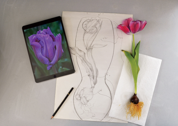 1 Find and collect inspiration and start sketching from live specimens and photos.