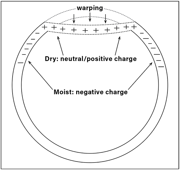 Rim cross section. The extent of warpage on bowls and cups is related to diameter and wall thickness. Plasticizers can absorb excess water used in throwing or forming, and compound warping issues.
