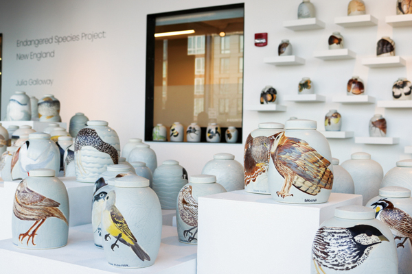 Installation view of Julia Galloway’s exhibition “Endangered Species Project: New England” at Gallery 224 at the Office for the Arts at Harvard in Allston, Massachusetts. All pieces: wheel-thrown mid-range porcelain, carved, underglazes, soda fired, refired with china paint, 2019. 