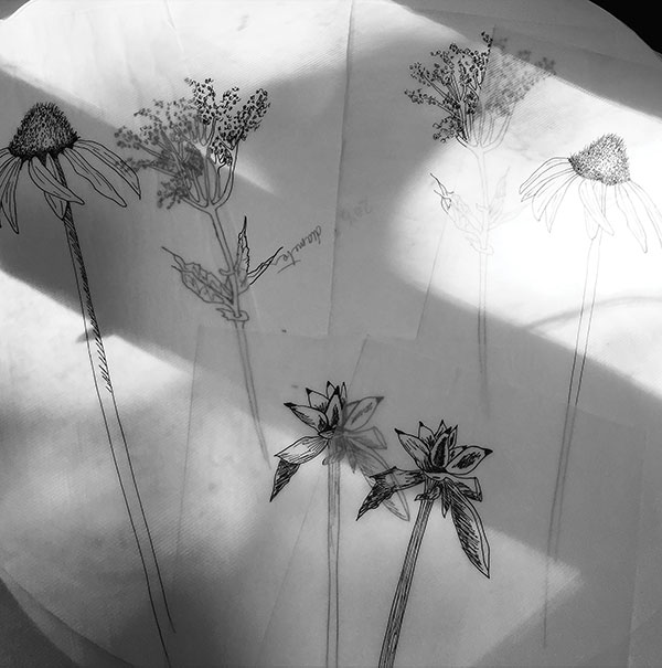 3 Fine-line drawings of various flowers created with a Sakura Micron pen.