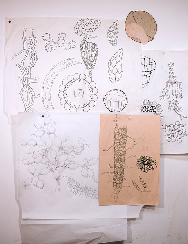 1 Drawings on paper of various imagery pulled from an extensive visual vocabulary to be used on the plate.