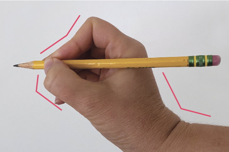 3 Look at the positioning of your wrist when holding a pencil (or tool). In this image, the wrist is bent back at an angle, the thumb is flexed, and the index finger is bent and flexed destroying the natural curve.