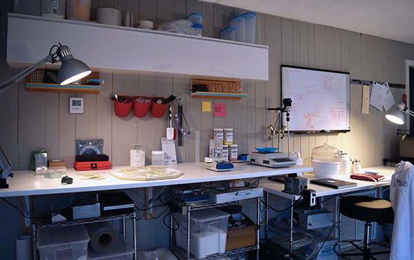 A Artist laboratory where Jakielski processes materials and runs experiments. Anything dirty in the process takes place here: clay mixing, color tests, casting, etc.