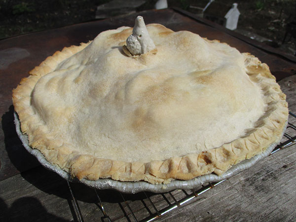 8 Apple pie baked with the help of a pie poodle.