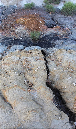 6 Lignite seam and colored clinker at Bullion Creek Formation, Lewis and Clark State Park.