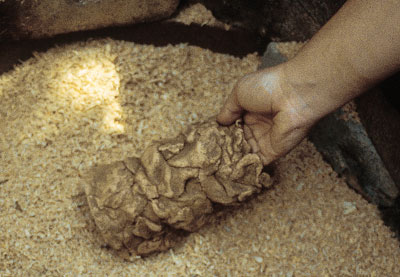 Placing the piece on a bed of sawdust. More sawdust will be added to cover the work.