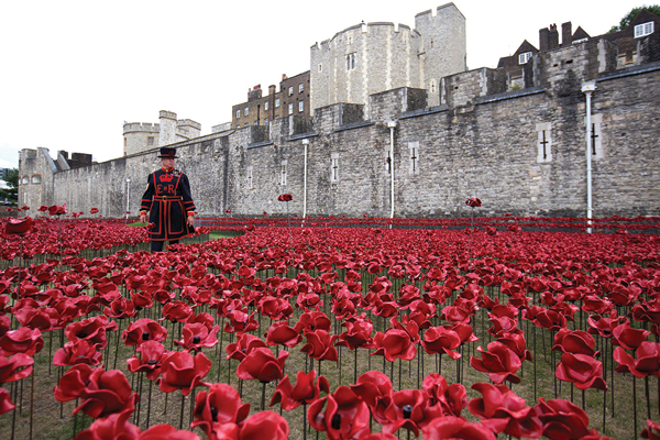 A British soldier walking among the nearly 900,000 ceramic poppies placed in the 16-acre Tower of London moat. The last poppy was placed on Armistice Day, November 11, 2014. Photo: Neil Hall, Reuters.