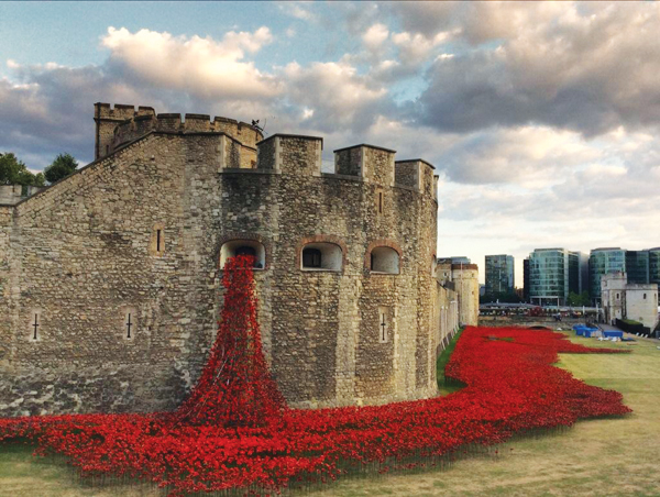 9 The finished installation included 888,246 handmade ceramic poppies.