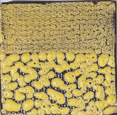 This tile features the above base glaze and slip with a 5% addition of Blythe Yellow Stain 14 H 236. Fired in oxidation to Cone 6.